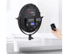 Постоянный свет Tolifo R-S36B