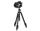 Штатив Vanguard Vesta FB 204ABS