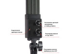 Постоянный свет Visico MS-30L