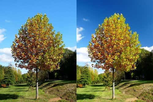 поляризационный фильтр купить поляризационный фильтр